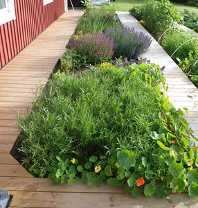 Bentes_terrasse